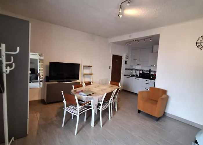 Grand Studio Renove, Tout Confort, Belles Prestations - Residence Du Bois De L\'Ours